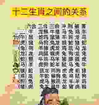 坚持不懈代表什么生肖?了解这些生肖的奋斗史!