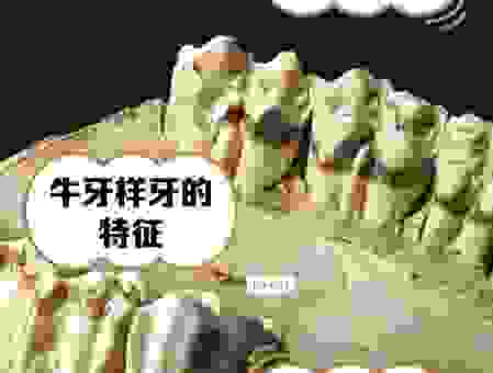 牙齿锋利的动物是哪个生肖？看完这些动物你就明白了。