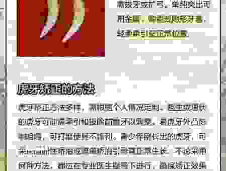牙齿锋利的动物是哪个生肖？看完这些动物你就明白了。
