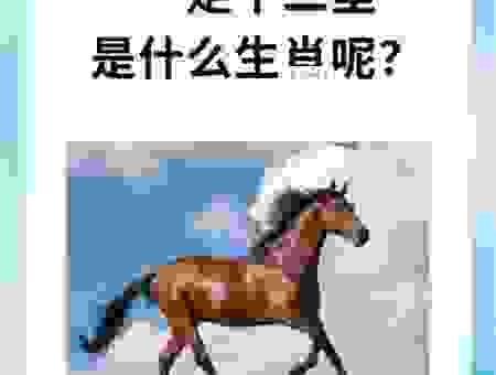 一马平川代表的生肖，原来这么简单！