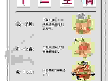 解密一举成名天下知：究竟是哪个生肖的象征？