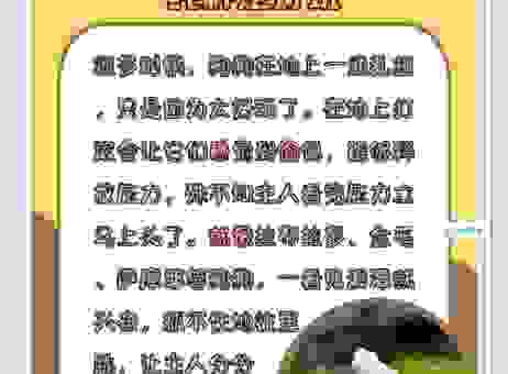 卑躬屈膝打一动物，谜底揭晓原来是它！