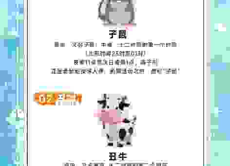来来往往暗示着什么生肖？新手也能看懂的解释！