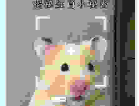 佛海无边打一生肖的秘密，你绝对想不到的答案