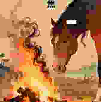 单枪匹马戌梁州是什么生肖？谜底揭晓，原来是它！