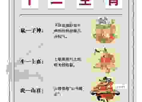 才子佳人是什么生肖？了解这些信息帮你判断！