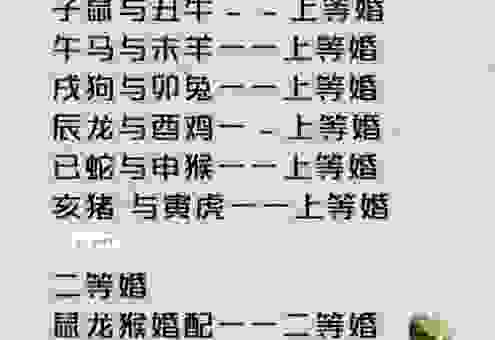 才子佳人是什么生肖?了解这些信息帮你判断!