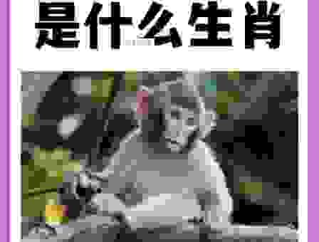 想要知道沐猴而冠打一生肖？快来看看就知道！