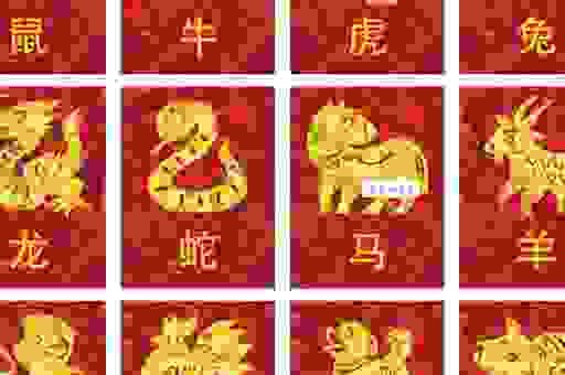 狼霸天下代表什么生肖？看完你就明白了！