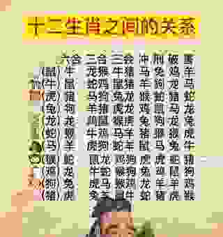 手到擒来是什么生肖？了解这些生肖你就懂了！