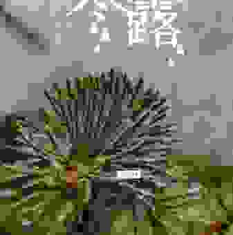 玉露生寒是什么意思？背后的故事和情感解析！