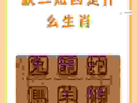 颠三倒四是什么生肖?别再猜了,直接看答案!