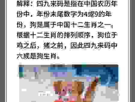 颠三倒四是什么生肖？别再猜了，直接看答案！