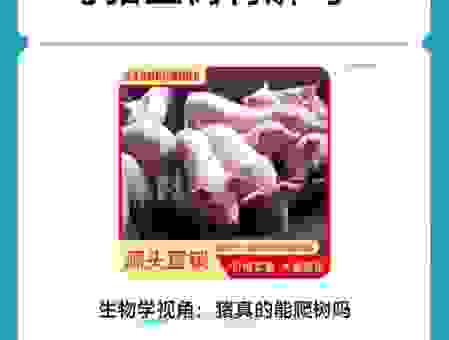 关于母猪上树是什么生肖，这几种说法流传最广