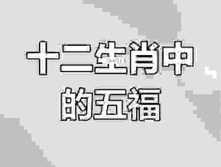 一人之下万人之上代表什么生肖?这几个生肖很关键