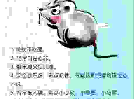 家风丑陋是什么生肖？带你了解不为人知的秘密！