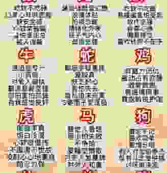 强者反己是哪个生肖？揭秘这些生肖的秘密！