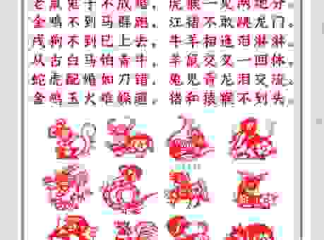 为什么说时断时续的生肖是TA？这些寓意你懂吗？