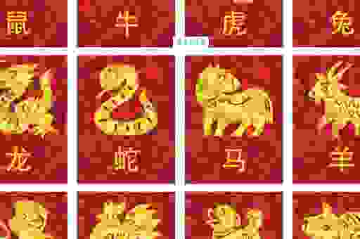水滴石穿打一个生肖是什么?这个生肖最有可能!