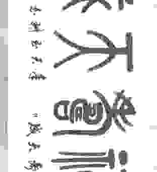 福寿天成是指什么生肖？揭秘背后的含义！