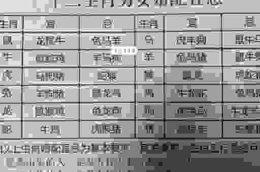 想知道宛然如生是什么生肖吗？答案在这里！