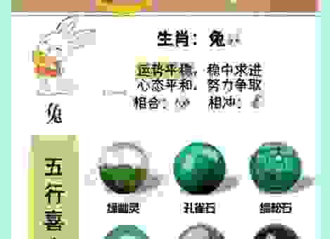 智珠在握是什么生肖？这个生肖确实不一般！