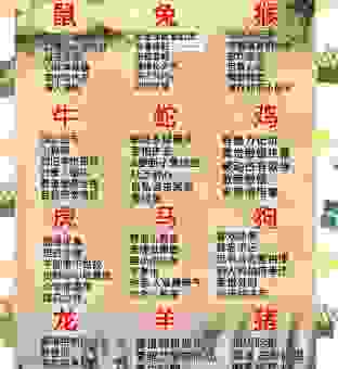 阳春白雪是什么生肖？新手也能看懂的生肖解读！