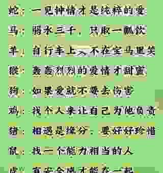 忠心不二是什么生肖？教你一眼看穿哪个生肖最专一！