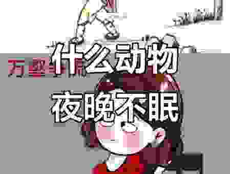 坐卧不宁是什么生肖动物？答案揭晓，你猜对了吗？