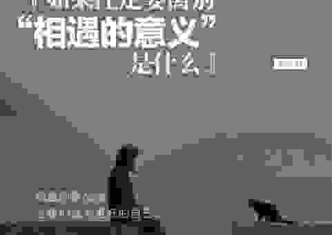 流离遇合的意思不难懂，是生活给你的考试