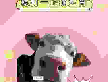 总是无可奈何？了解它是什么生肖，也许能帮到你。