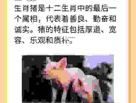 无家可归打一生肖,你知道是哪个生肖吗?