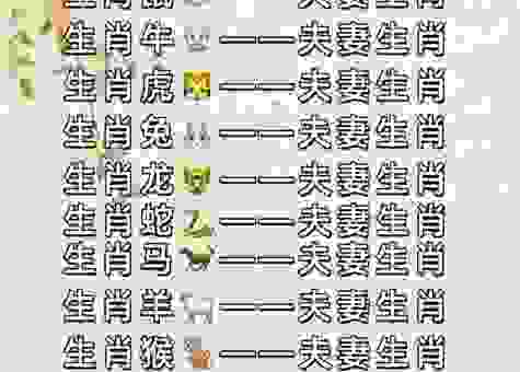 无家可归打一生肖，你知道是哪个生肖吗？