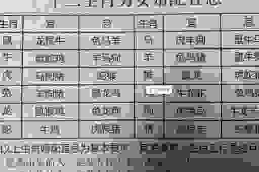 投桃报李猜生肖:这个生肖的特点你一定要知道!