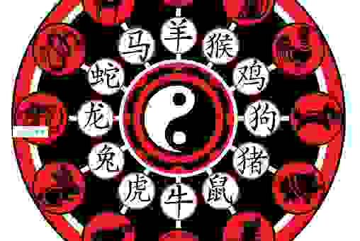 泰山北斗打一准确生肖,这个生肖与众不同!