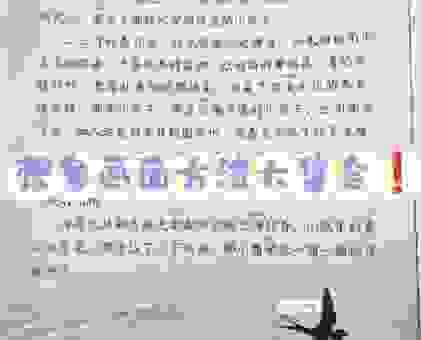 社燕秋鸿是什么意思，一篇文章帮你彻底弄懂
