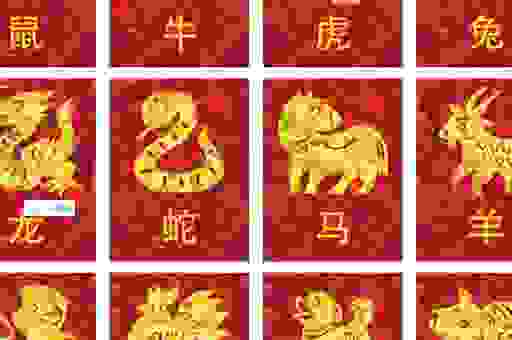 鸡飞狗跳的生肖是什么？这几个生肖听着就挺热闹！