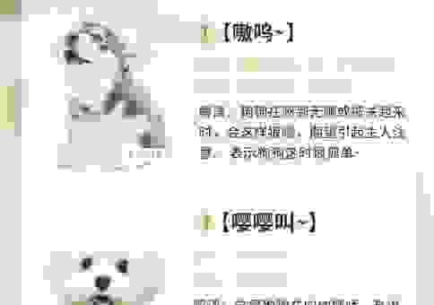 邑犬群吠是什么意思？简单解释让你一学就会！