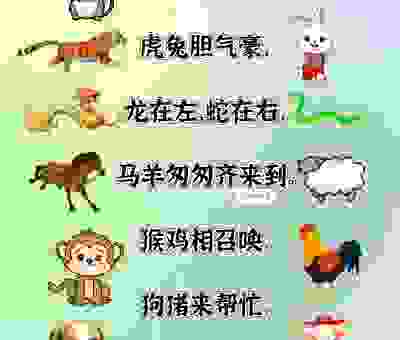 跋山涉水打一准确生肖，揭秘最适合出游的生肖！