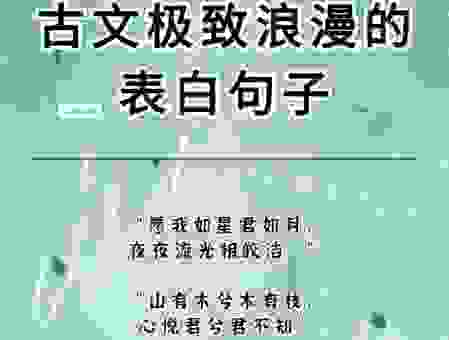羡君终解古人心,古人心中藏着兔的秘密!