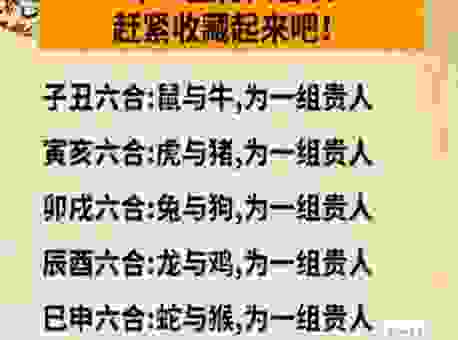 装死买活打一最佳生肖是什么？看这几个生肖就知道！