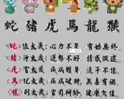 静观其变是什么生肖？这个生肖的特征太明显了！