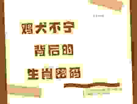 鸡犬不宁代表什么生肖？原来答案这么简单