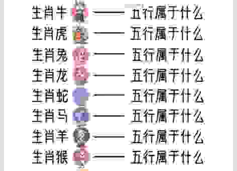 君子之交接如水代表的生肖到底是哪个?快来看看!