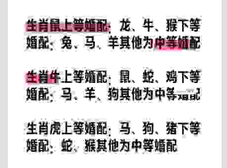 君子之交接如水代表的生肖到底是哪个?快来看看!