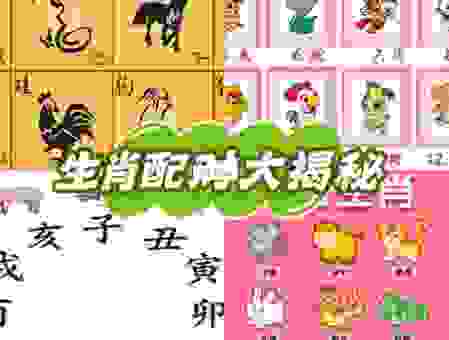 搭桥牵线生肖配对,这些方法让你事半功倍