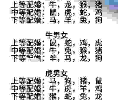 两小无猜是什么生肖？这几个生肖配对太甜了