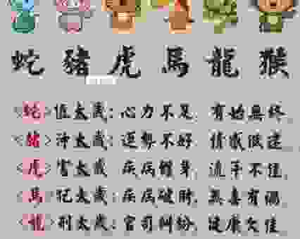 猜生肖：乘龙快婿到底指哪个？揭秘答案！