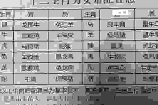 热火朝天是哪个生肖?别再猜了,答案都在这里!
