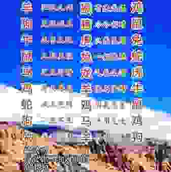 谁能八面威风打一准确生肖?这个答案让你猜不到!